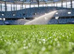 中超豪门陷,巨额税务困,亿元级欠税,Yabo,Sports,亚博体育,亚博体育入口,亚博体育官网,亚博体育APP下载