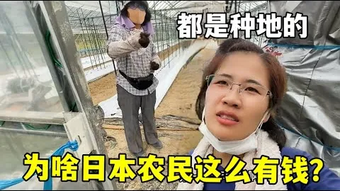 “苏炳添巴黎奥运备战启动，百米积分重置，加速冲刺羊城晚报”